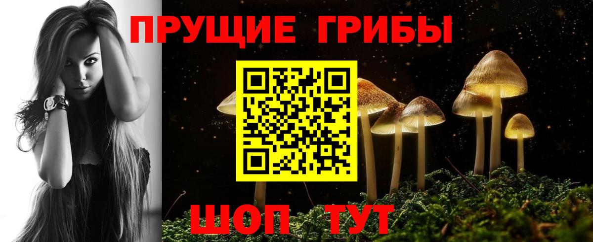Галлюциногенные грибы ЛСД Истра