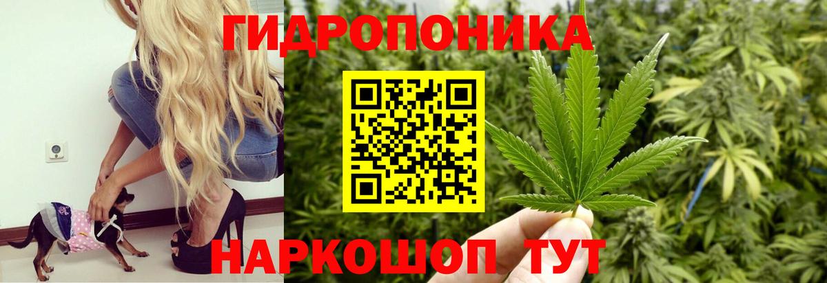 Бошки Шишки тримм Истра